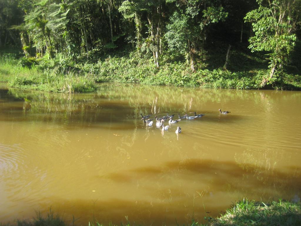 Pousada Recanto Dos Pinheiros Pilar do Sul Bagian luar foto
