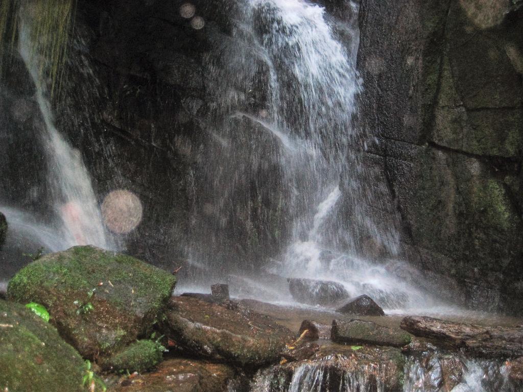 Pousada Recanto Dos Pinheiros Pilar do Sul Bagian luar foto
