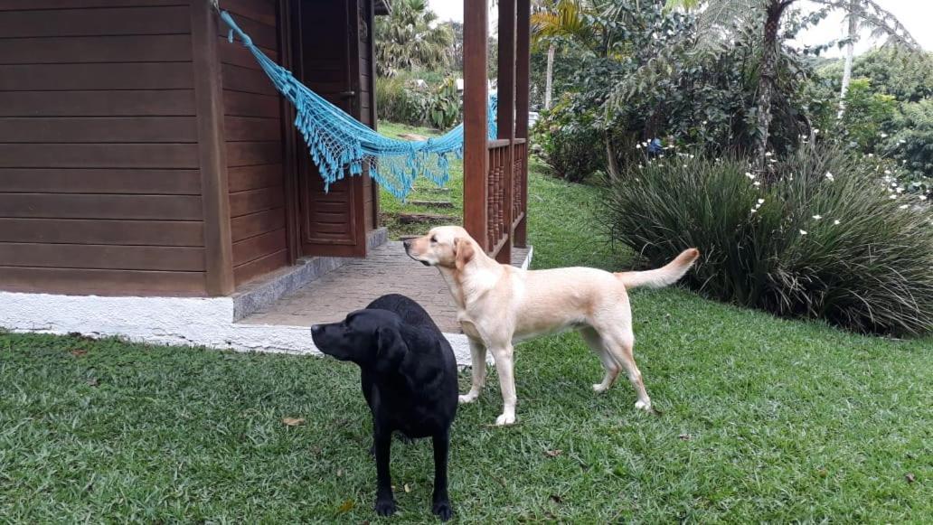 Pousada Recanto Dos Pinheiros Pilar do Sul Bagian luar foto